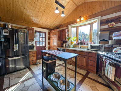 Cabin and 23.51 Acres For Sale in Patrick County, Virginia - image 19