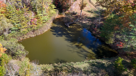 Cabin and 23.51 Acres For Sale in Patrick County, Virginia - image 30