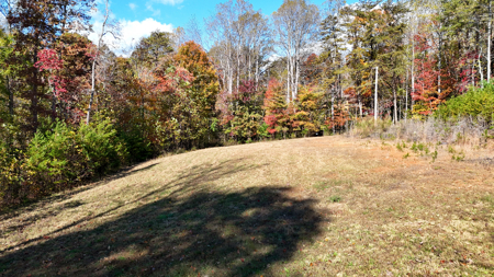 Cabin and 23.51 Acres For Sale in Patrick County, Virginia - image 43