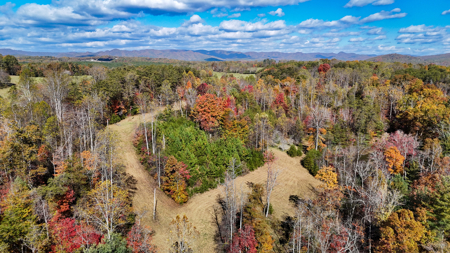 Cabin and 23.51 Acres For Sale in Patrick County, Virginia - image 40