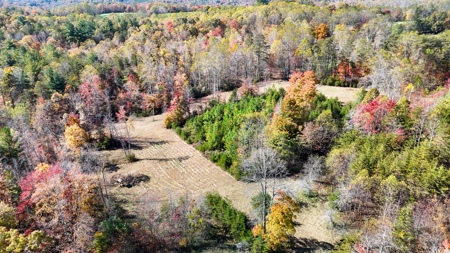 Cabin and 23.51 Acres For Sale in Patrick County, Virginia - image 42