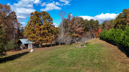 Cabin and 23.51 Acres For Sale in Patrick County, Virginia - image 34