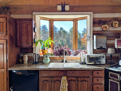 Cabin and 23.51 Acres For Sale in Patrick County, Virginia - image 20