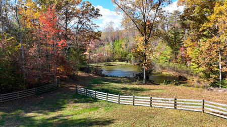 Cabin and 23.51 Acres For Sale in Patrick County, Virginia - image 32