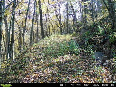 57+/- Acre Retreat in Wisconsin’s Driftless Area, Crawford County - image 30