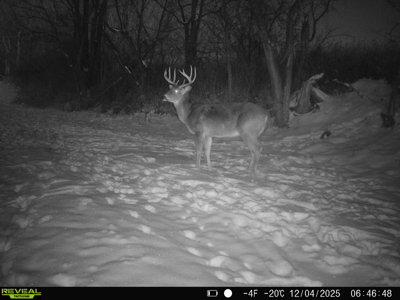 57+/- Acre Retreat in Wisconsin’s Driftless Area, Crawford County - image 32