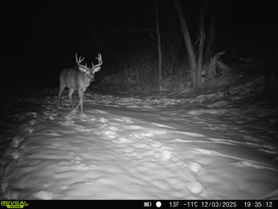 57+/- Acre Retreat in Wisconsin’s Driftless Area, Crawford County - image 41