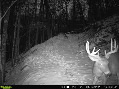 57+/- Acre Retreat in Wisconsin’s Driftless Area, Crawford County - image 46