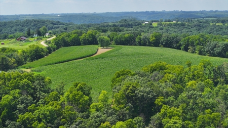 57+/- Acre Retreat in Wisconsin’s Driftless Area, Crawford County - image 4