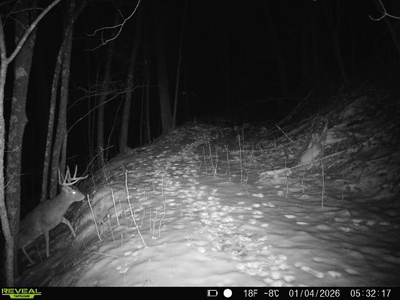 57+/- Acre Retreat in Wisconsin’s Driftless Area, Crawford County - image 49