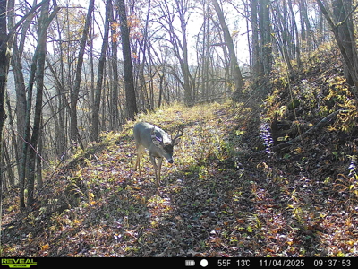 57+/- Acre Retreat in Wisconsin’s Driftless Area, Crawford County - image 39