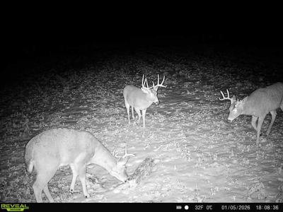 57+/- Acre Retreat in Wisconsin’s Driftless Area, Crawford County - image 50