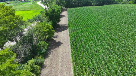 57+/- Acre Retreat in Wisconsin’s Driftless Area, Crawford County - image 9