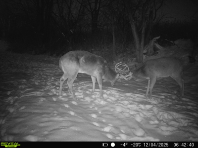 57+/- Acre Retreat in Wisconsin’s Driftless Area, Crawford County - image 31