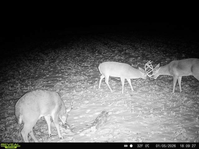 57+/- Acre Retreat in Wisconsin’s Driftless Area, Crawford County - image 44