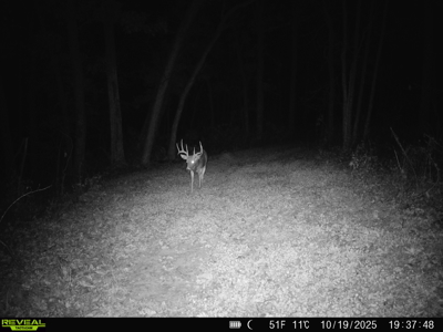 57+/- Acre Retreat in Wisconsin’s Driftless Area, Crawford County - image 27