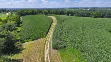 57+/- Acre Retreat in Wisconsin’s Driftless Area, Crawford County - image 6