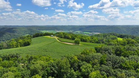 57+/- Acre Retreat in Wisconsin’s Driftless Area, Crawford County - image 43