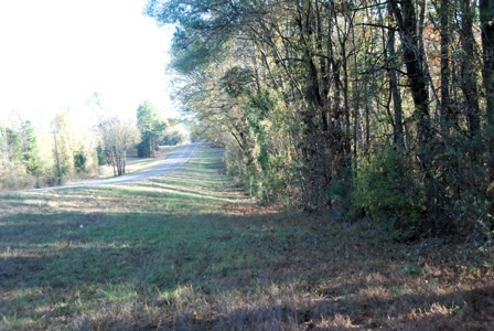 East Texas Land for Sale Near Hawkins in Wood County - image 20
