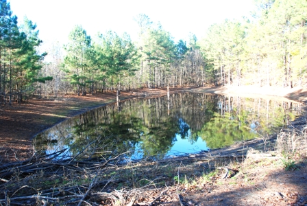 East Texas Land for Sale Near Hawkins in Wood County - image 1