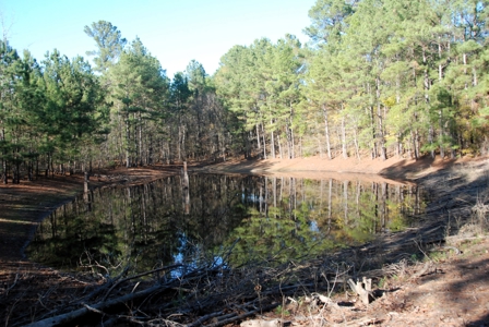 East Texas Land for Sale Near Hawkins in Wood County - image 2