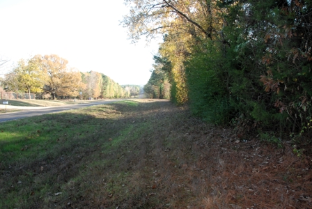 East Texas Land for Sale Near Hawkins in Wood County - image 17