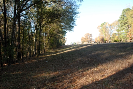 East Texas Land for Sale Near Hawkins in Wood County - image 19