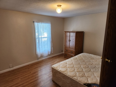 Nice 3-Bedroom 2 Bath Home Walking Distance to Castle Rock Lake - image 11