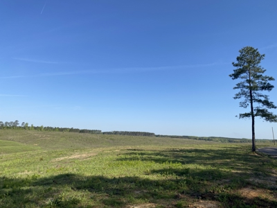 Land For Sale In Tn, 2.35 Acres+/-, Open Land - image 7