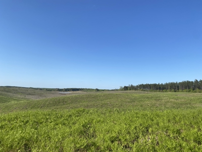 Land For Sale In Tn, 2.35 Acres+/-, Open Land - image 5