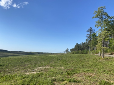 Land For Sale In Tn, 2.35 Acres+/-, Open Land - image 2