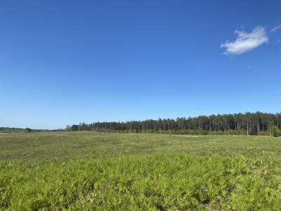 Land For Sale In Tn, 2.35 Acres+/-, Open Land - image 4