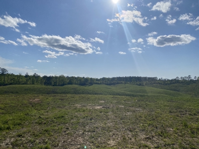 Land For Sale In Tn, 2.35 Acres+/-, Open Land - image 1