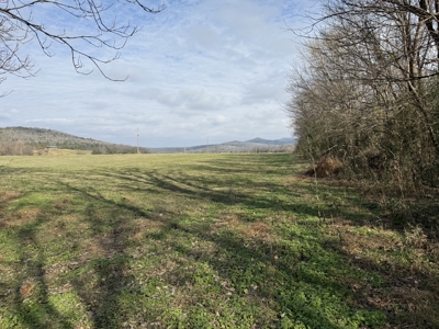 Riverfront Lot For Sale In Arkansas - image 6