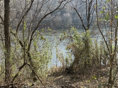 Riverfront Lot For Sale In Arkansas - image 7