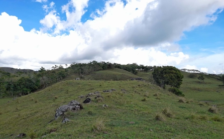 133-Acre Master Planned Development for Sale in Volcán, Panama - image 4