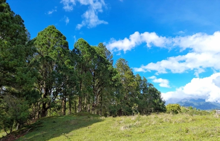 133-Acre Master Planned Development for Sale in Volcán, Panama - image 7