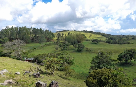 133-Acre Master Planned Development for Sale in Volcán, Panama - image 3