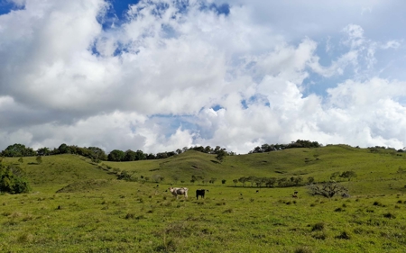 133-Acre Master Planned Development for Sale in Volcán, Panama - image 6
