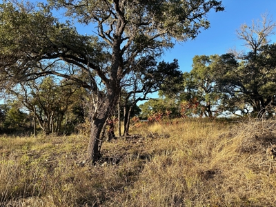 Country Home on 10 Acres Near Zephyr TX,  Barn, Creek & Wildlife - image 34