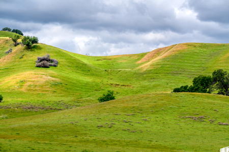 uxury Country Estate in Vacaville, CA English Hills 7.16 Acres - image 4