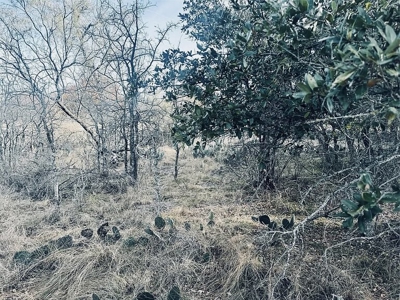 Lot For Sale Near The Hideout Golf Course - image 6