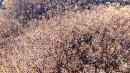 Prime Hunting Land for sale in the Missouri Ozarks - image 12