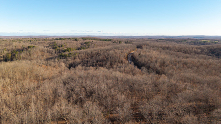 Prime Hunting Land for sale in the Missouri Ozarks - image 8