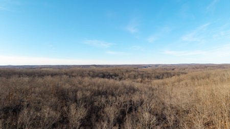 Prime Hunting Land for sale in the Missouri Ozarks - image 5