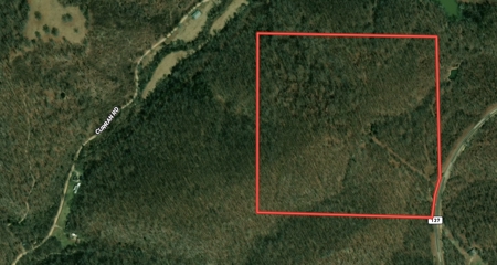 Prime Hunting Land for sale in the Missouri Ozarks - image 2