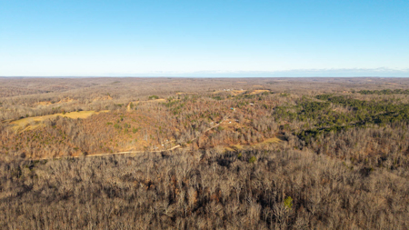 Prime Hunting Land for sale in the Missouri Ozarks - image 10