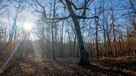 Prime Hunting Land for sale in the Missouri Ozarks - image 4