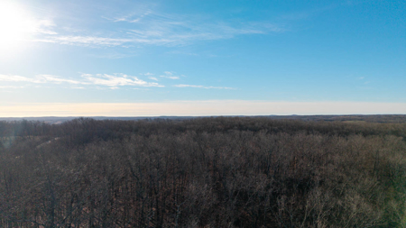 Prime Hunting Land for sale in the Missouri Ozarks - image 6