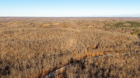 Prime Hunting Land for sale in the Missouri Ozarks - image 3